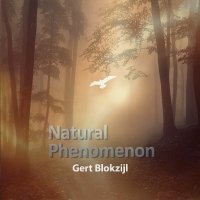 Gert Blokzijl - Natural Phenomenon (2015)