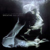 Siamese Fighting Fish - Breathe : See : Move (2012)