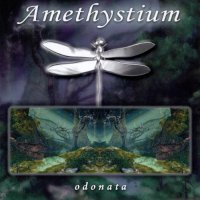 Amethystium - Odonata (2001)