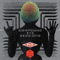 Pig vs MC Lord Of The Flies - Compound Eye Sessions (2015)