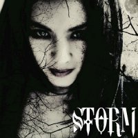 Storm - Storm\'s a Brewin (2015)