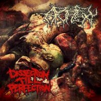 Apoplexy - Dissection Till Perfection (2012)