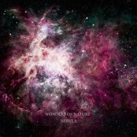 Wonders Of Nature - Nebula (2015)