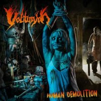 Volturyon - Human Demolition (2014)