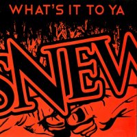 Snew - What\'s It To Ya (2012)