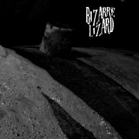 Bizarre Lizard - Drink Sour Mash (2013)