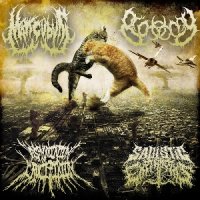 Sadistic Experiments & Mancubus & Asphyxiation Crucifixion & Biotomy - Split (2016)