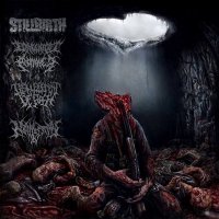 Stillbirth & Congenital Anomalies & Disfigurement Of Flesh & Nephrectomy - Pathology Of Anomalous Origin (2015)