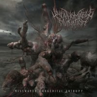 Unfathomable Ruination - Misshapen Congenital Entropy (2012)  Lossless