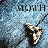 Andrew Moore - Moth (2016)