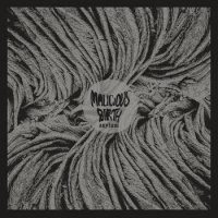 Malicious Birth - Asylum (2016)