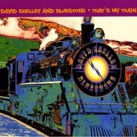 David Shelley And Bluestone - That`s My Train (2011)