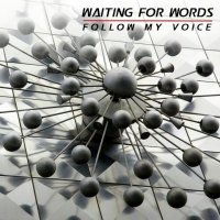 Waiting For Words - Follow My Voice (2011)