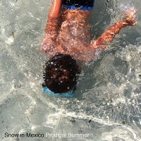 Snow In Mexico - Prodigal Summer (2012)