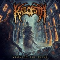 Kalopsia - Amongst the Ruins (2012)