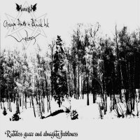 Lunatii / Cityscape Drawn In Black Ink / Wither - Ruthless Grace And Almighty Feeblness (Split) (2016)