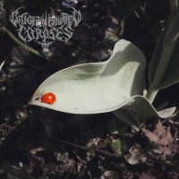 Brightly Painted Corpses - Glowing Bones Illuminate The Chamber (2015)