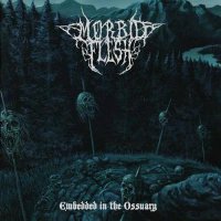 Morbid Flesh - Embedded In The Ossuary (2014)