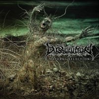 Dissolution - Natural Selection (2014)