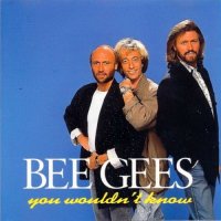 Bee  Gees - You Wouldn\'t Know (1993)  Lossless