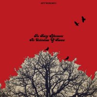 The Rainy Afternoons - An Unkindness Of Ravens (2017)