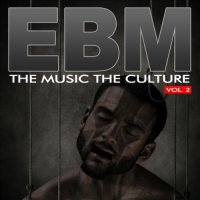 VA - The Music The Culture : EBM Vol.2 (2012)