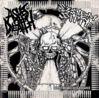 Ashes Of Death & System Shit - Split LP (2011)
