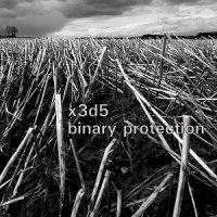 X3D5 - Binary Protection (2010)