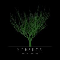 Hirsute - Still Waiting (2014)