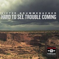 Victor Krummenacher - Hard To See Trouble Coming (2015)