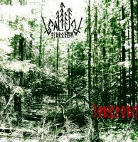 Saltus Terrorum - Зов Крови (2013)