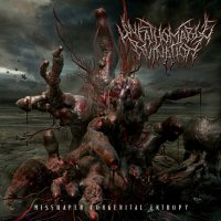 Unfathomable Ruination - Misshapen Congenital Entropy (2012)