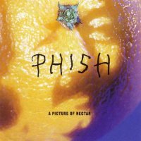 Phish - A Picture Of Nectar (1992)  Lossless