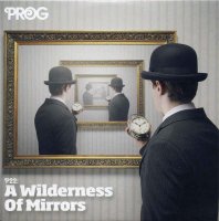 VA - Prog P22: A Wilderness of Mirrors (2014)