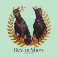 Aqueous - Best in Show (2016)