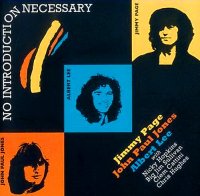 Jimmy Page, John Paul Jones, Albert Lee - No Introductions Necessary (2002)