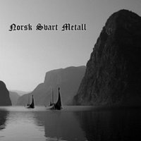VA - Norsk Svart Metall - The Third Wave (2008)