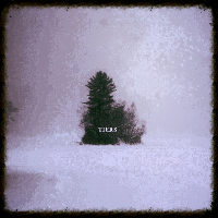 Tiers - Winter (2013)