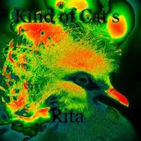 Kind Of Cat\'s - Rita (2013)