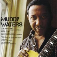 Muddy Waters - Icon (2011)  Lossless