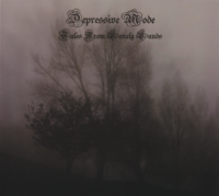 Depressive Mode - Tales From Lonely Lands (Re-Issue 2013) (2011)  Lossless