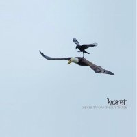 Horst - Never Two Without Three (2016)