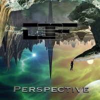 DFB - Perspective (2017)