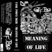 Task Force Beer - Meaning Of Life (2017)