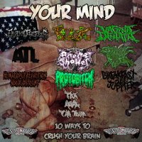 VA - Your Mind-10 Ways To Crush Your Brain (Split) (2013)