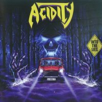Acidity - Into the Lies (2014)  Lossless