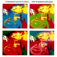 The Teardrop Explodes - Everybody Wants To Shag… (1990)