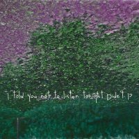 Alter Der Ruine - I Told You Not To Listen Tonight Didn\'t I? (2013)
