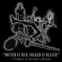 VA - Doused In Mud, Soaked In Bleash : A Tribute To Nirvana’s Bleash (2016)
