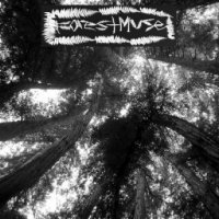 ForestMuse - The Land Of Tall Trees (2012)